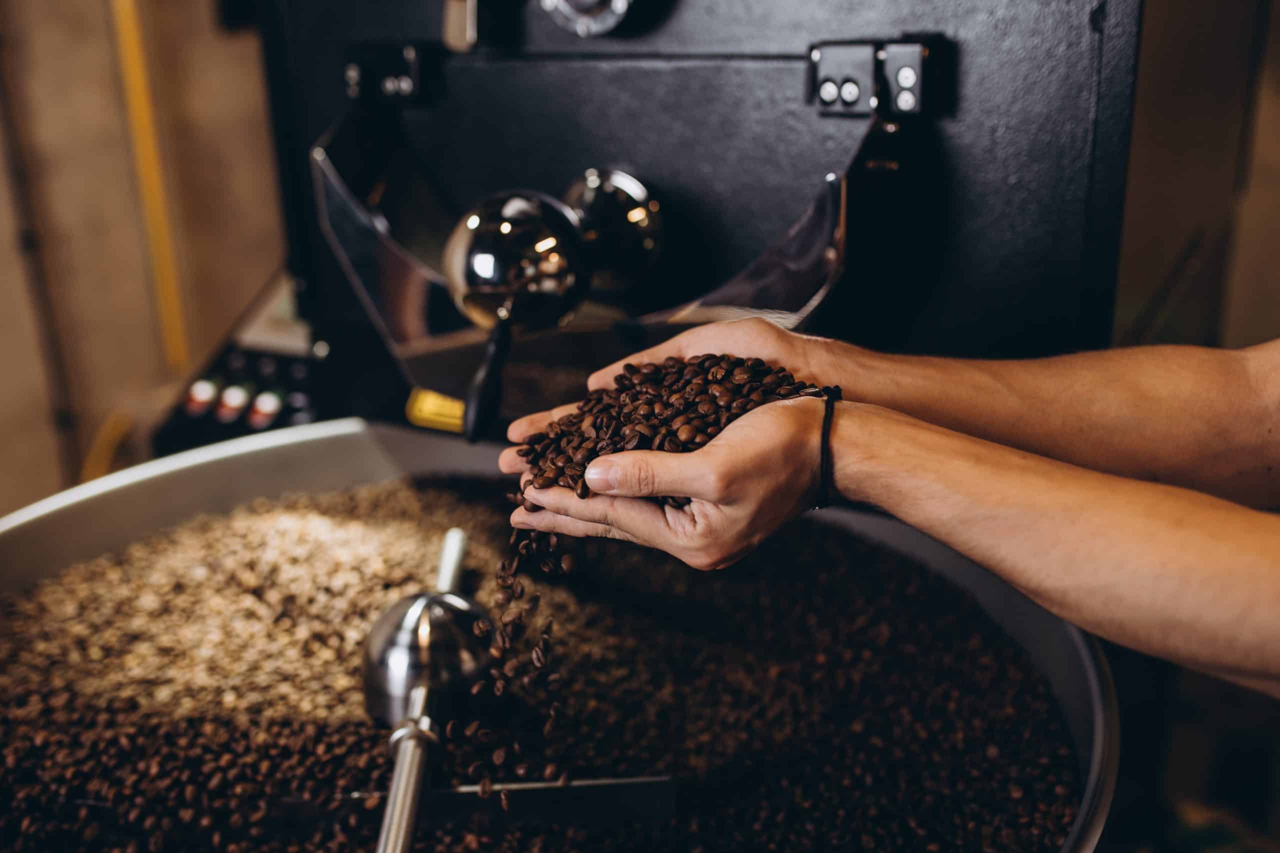 Hands holding freshly roasted coffee beans over a modern coffee roasting machine